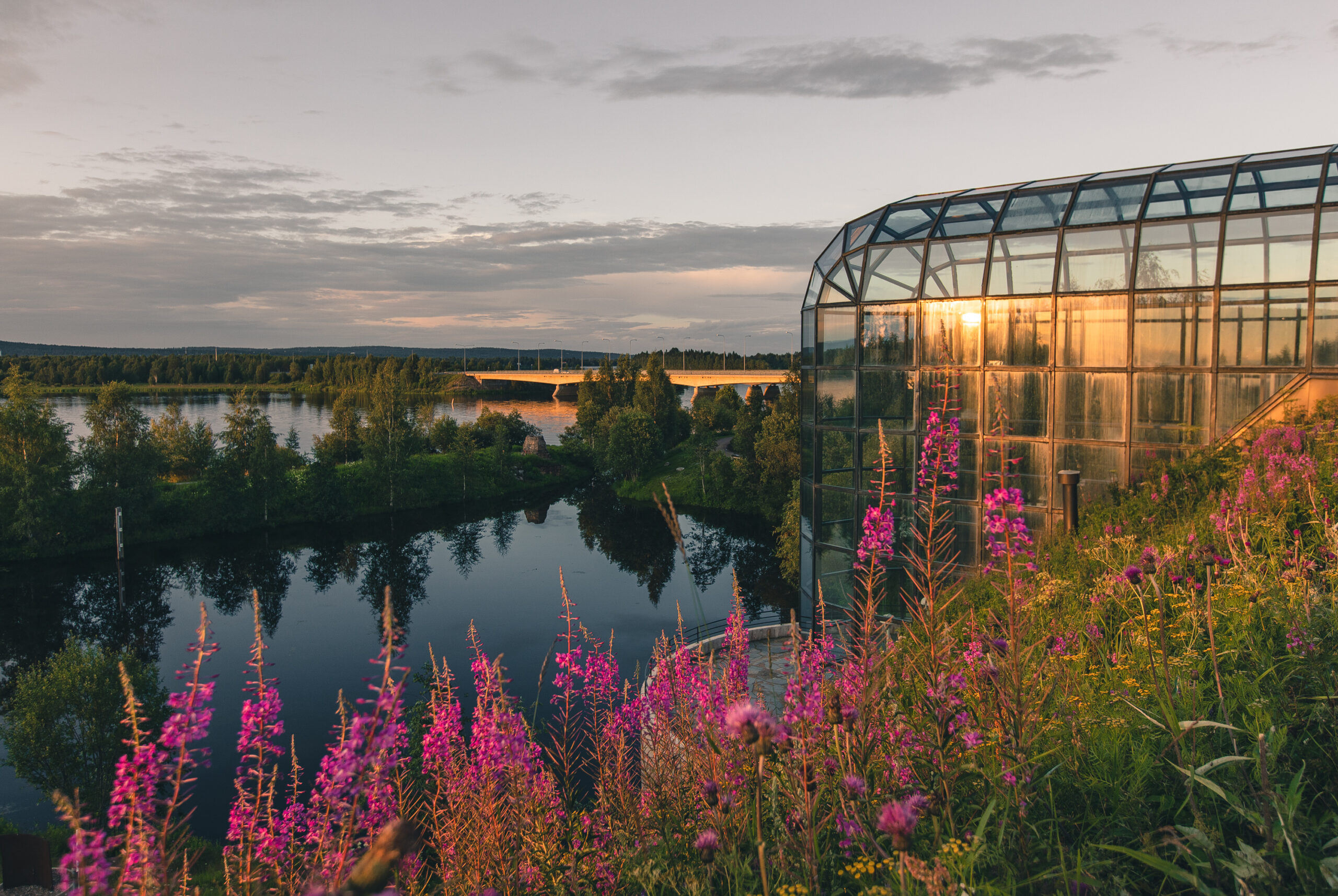 Arktikumin putki heinäkuussa